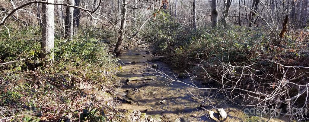 27 South Cross Creek Trail Mill Spring Mill Spring, NC 28756 - Photo 18 of 30 a view of a yard