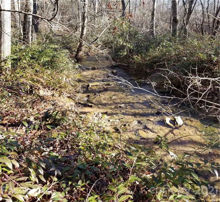 27 South Cross Creek Trail Mill Spring Mill Spring, NC 28756 - Photo 20 of 30 a view of yard