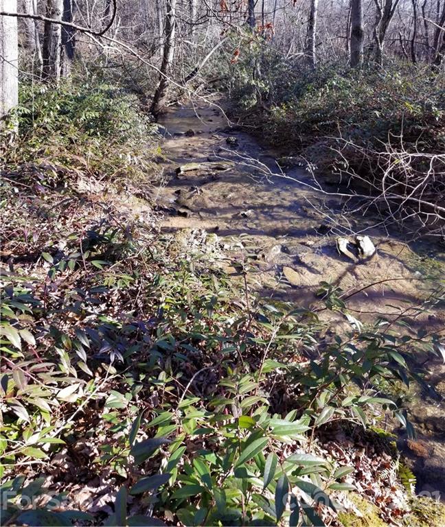 27 South Cross Creek Trail Mill Spring Mill Spring, NC 28756 - Photo 21 of 30 a view of a forest that has a tree