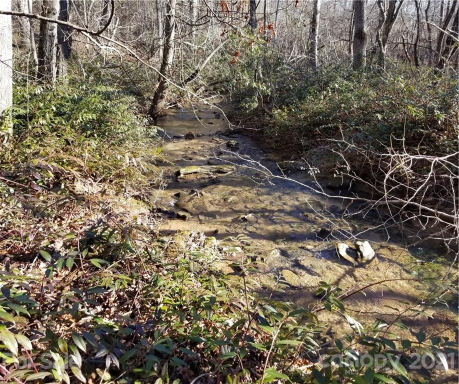 27 South Cross Creek Trail Mill Spring Mill Spring, NC 28756 - Photo 22 of 30 a view of a yard of the plants and trees