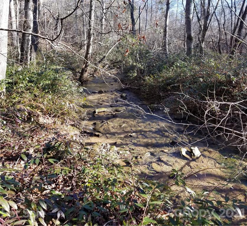 27 South Cross Creek Trail Mill Spring Mill Spring, NC 28756 - Photo 23 of 30 a view of a tree
