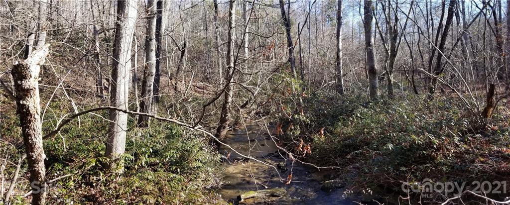 27 South Cross Creek Trail Mill Spring Mill Spring, NC 28756 - Photo 24 of 30 a view of a yard with a tree