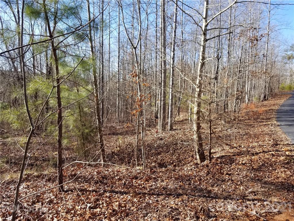 27 South Cross Creek Trail Mill Spring Mill Spring, NC 28756 - Photo 6 of 30 a backyard of a house with lots of green space