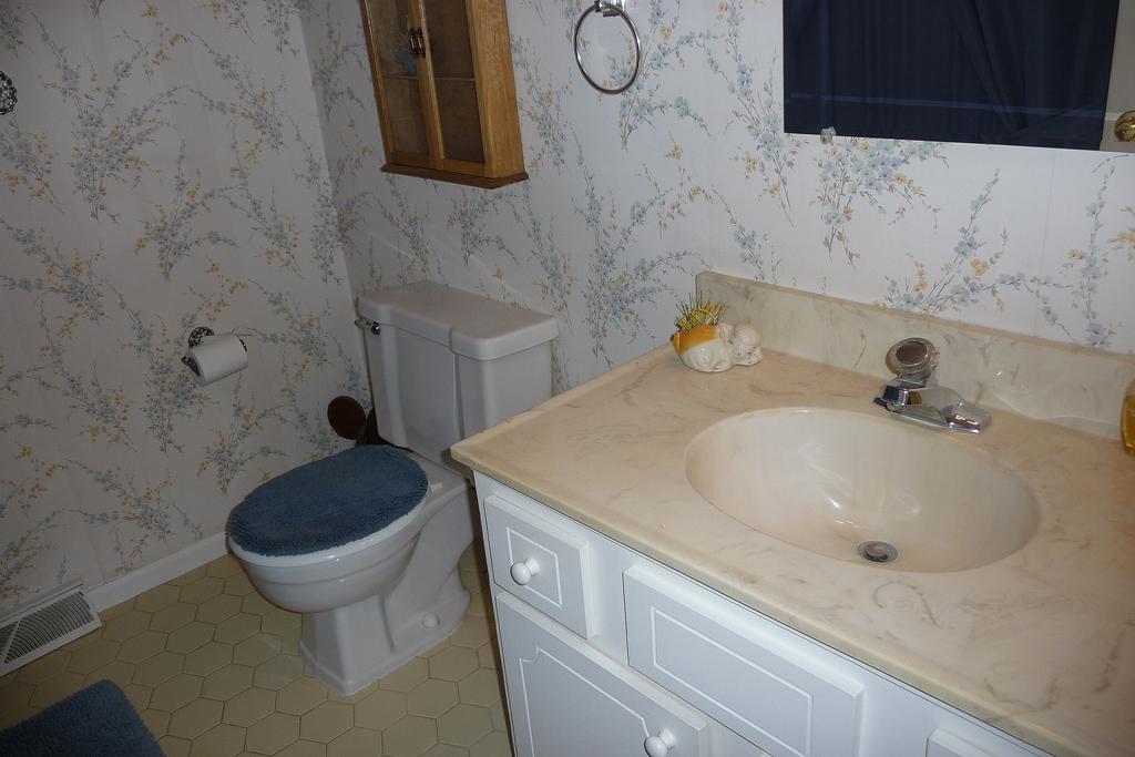 63 Cedarbrook Lane Blue Ridge, VA 24064 - Photo 9 of 14 a bathroom with a sink and a toilet