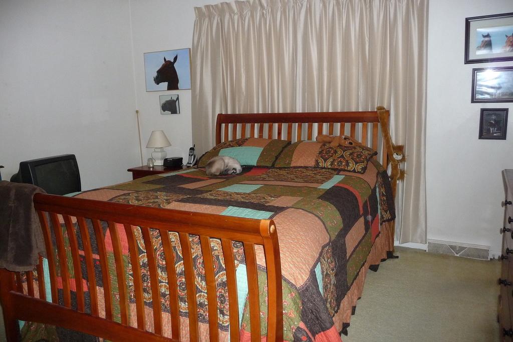 63 Cedarbrook Lane Blue Ridge, VA 24064 - Photo 10 of 14 a bedroom with a bed and a window