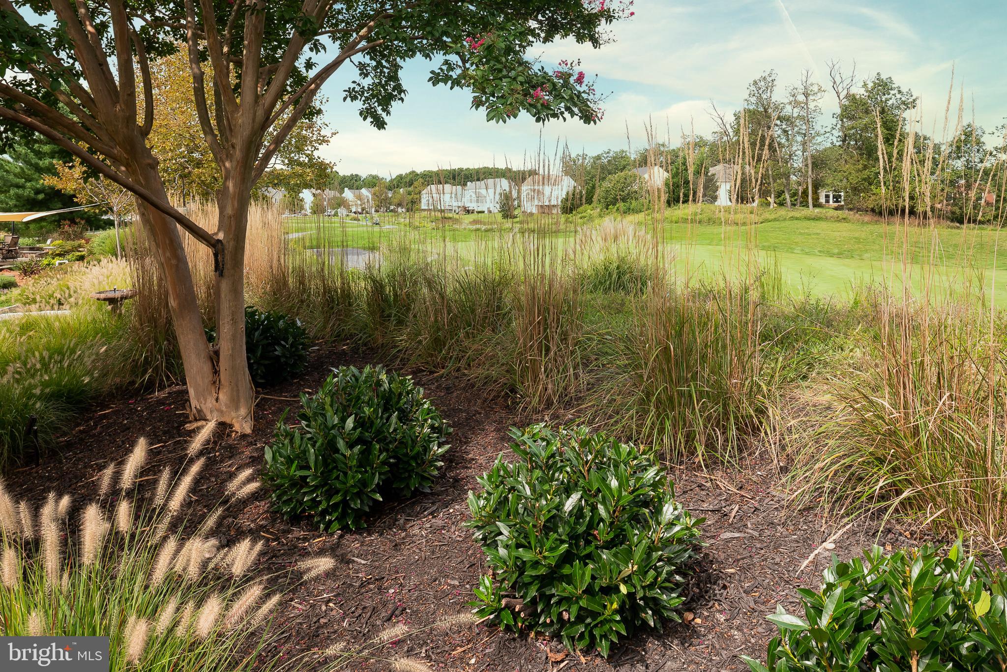 5917 Sandy Ridge Elkridge, MD 21075 - Photo 47 of 51