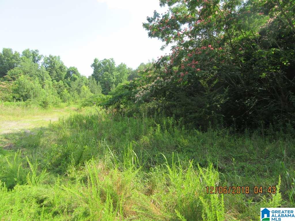 0 Cedar Bend Road Gadsden, AL 35907 - Photo 20 of 28