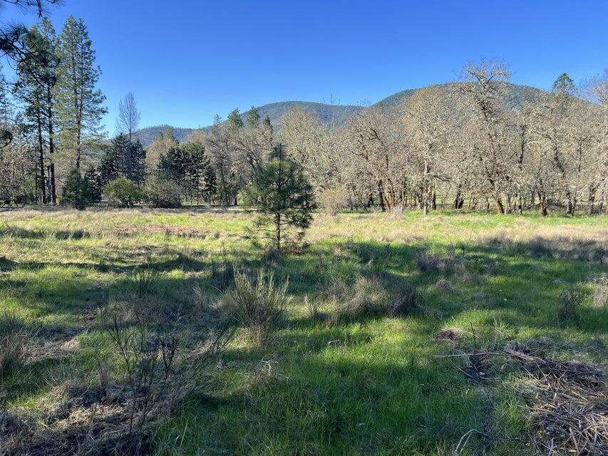 6500 Donaldson Road Grants Pass, OR 97526 - Photo 7 of 9 pic 10