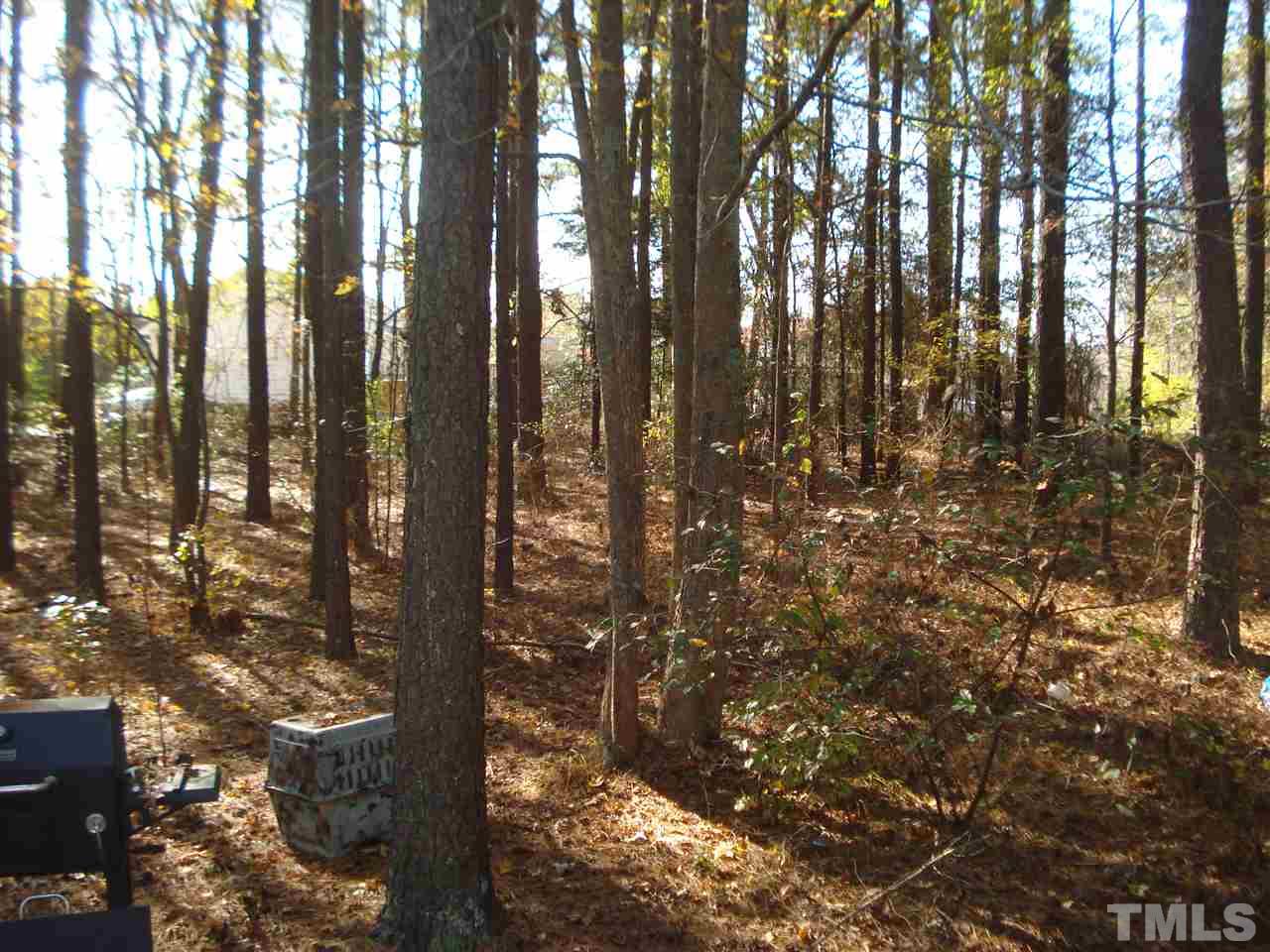 400 Plantation Road Clayton, NC 27520 - Photo 11 of 11 Gallery Image 11