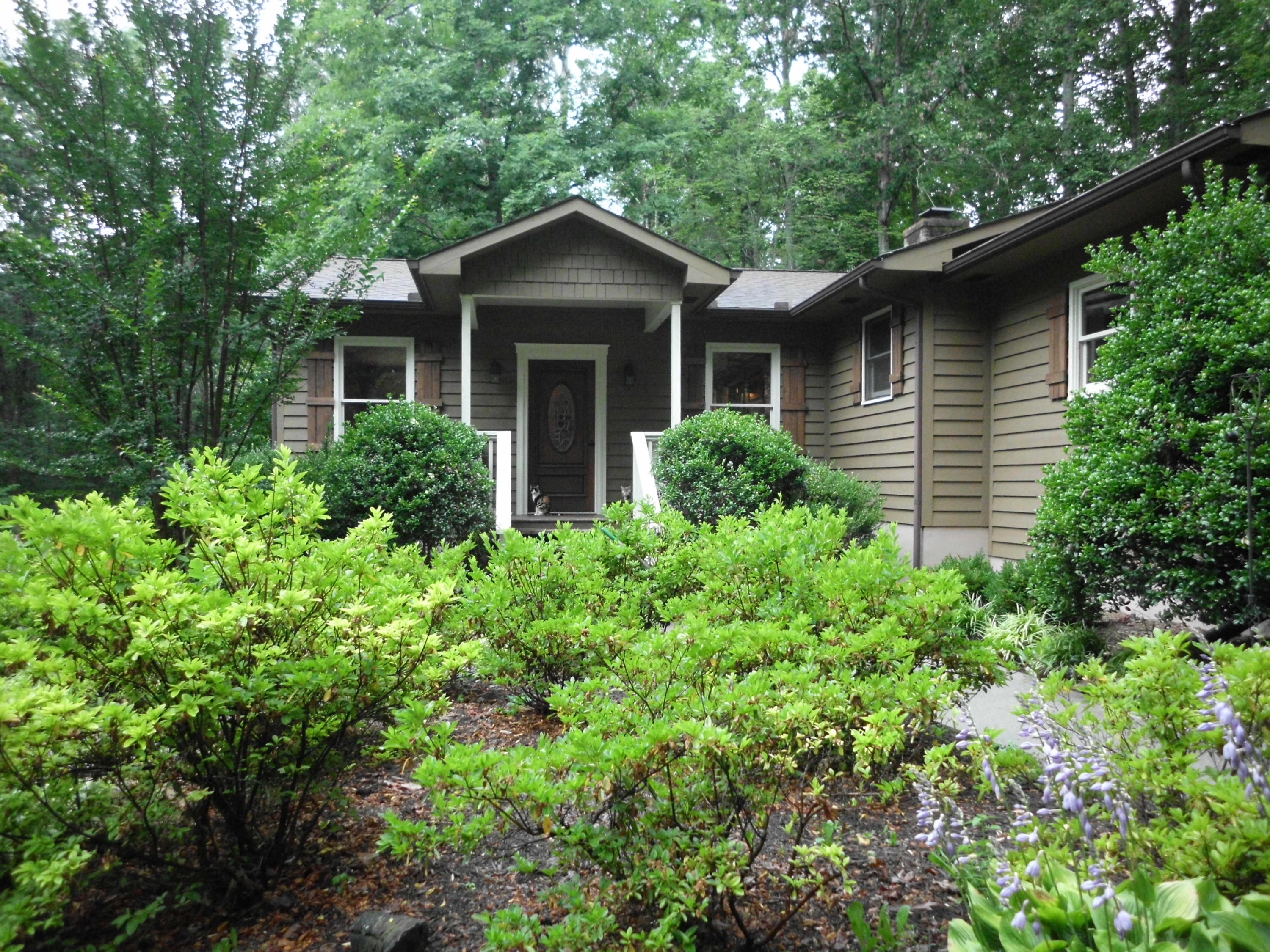 350 Raccoon Valley Road Powell, TN 37849 - Photo 2 of 19 Back Porch Living