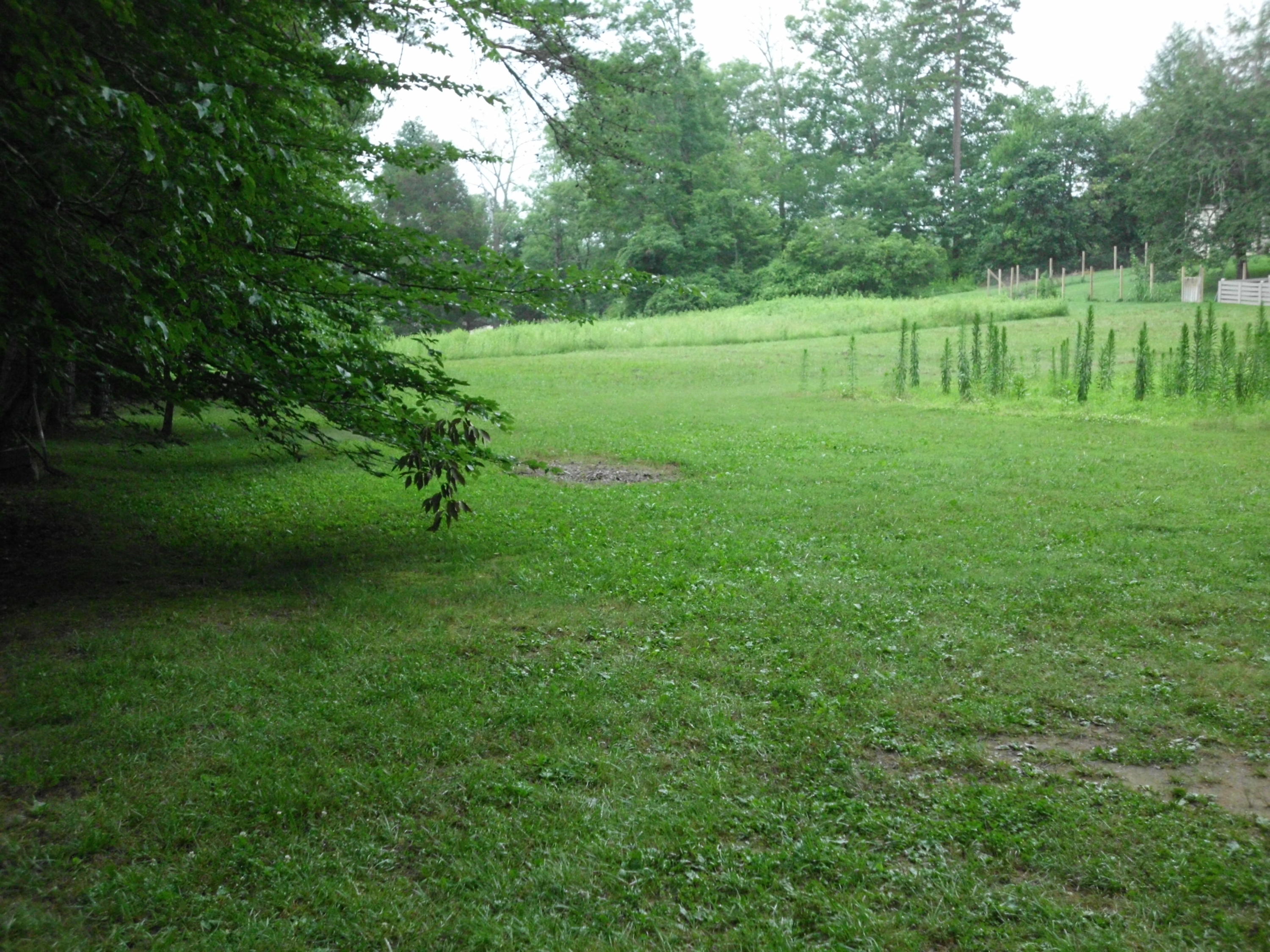350 Raccoon Valley Road Powell, TN 37849 - Photo 19 of 19 8+ Acres, Tabletop Level