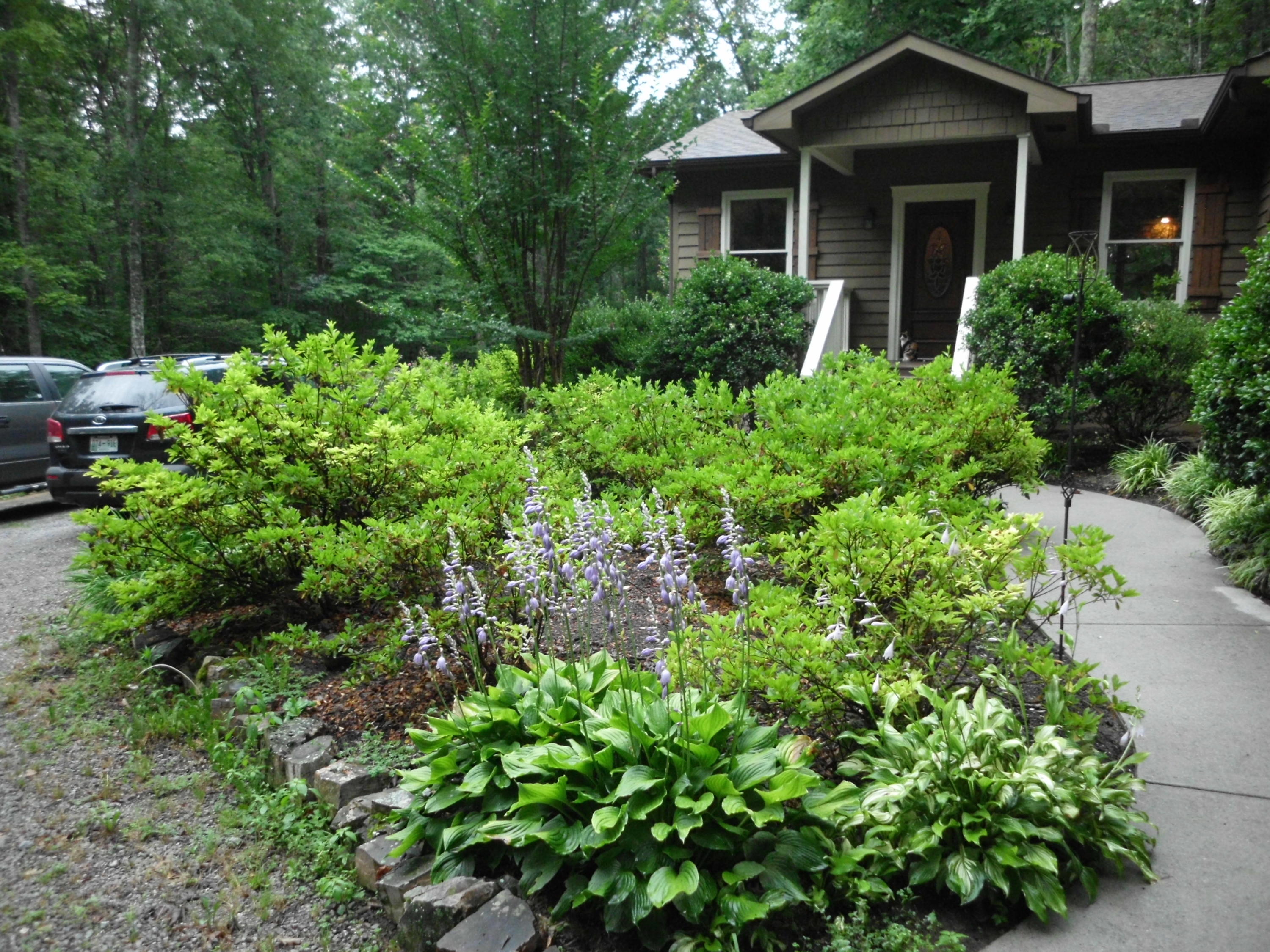 350 Raccoon Valley Road Powell, TN 37849 - Photo 3 of 19 Professional Landscaping