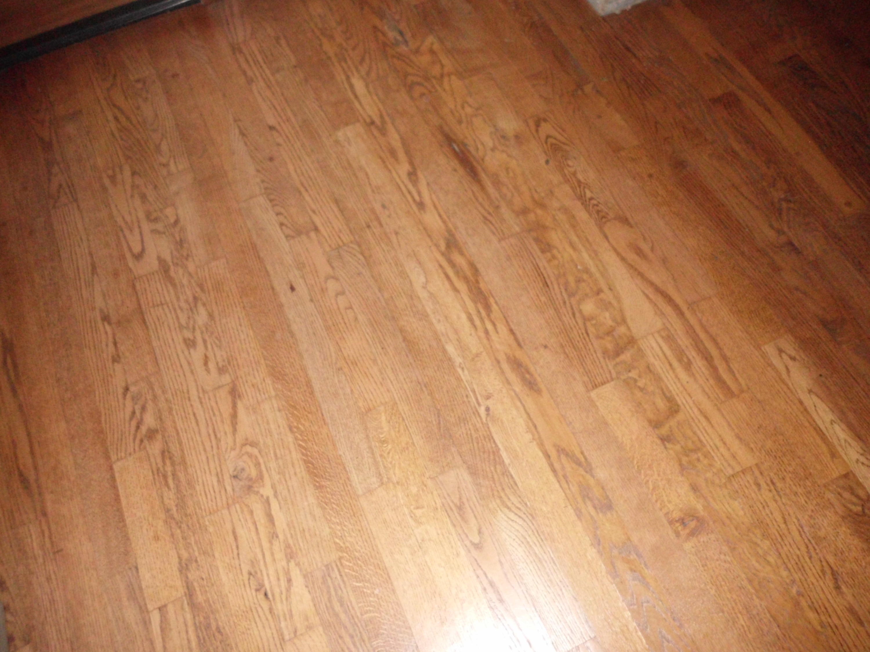 350 Raccoon Valley Road Powell, TN 37849 - Photo 4 of 19 Hardwood Floors