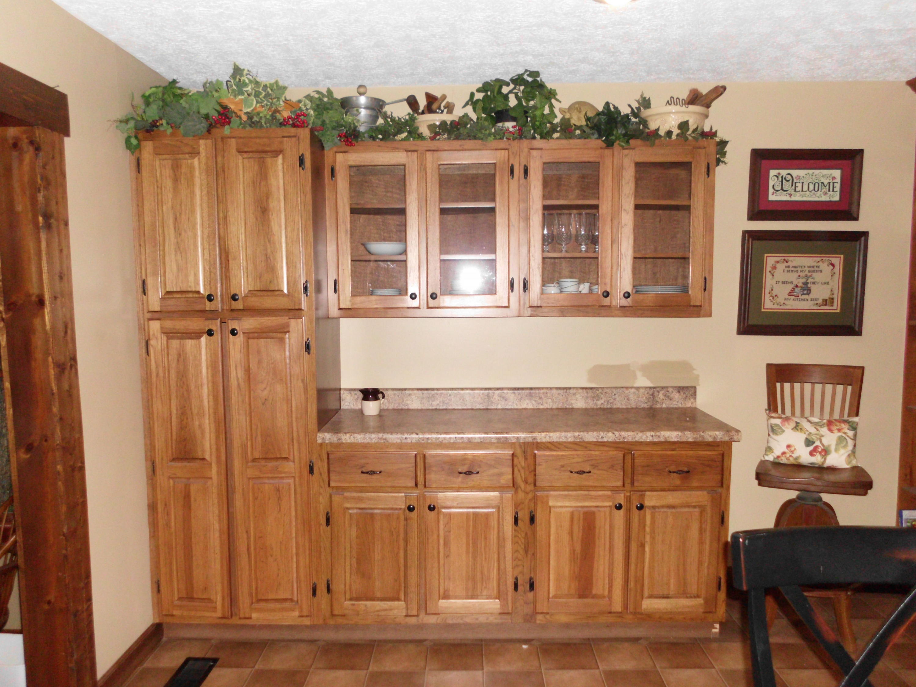 350 Raccoon Valley Road Powell, TN 37849 - Photo 7 of 19 Custom Kitchen