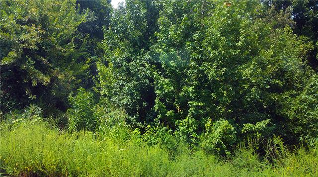0 Dove Road Flintville, TN 37335 - Photo 2 of 8 Property is off Cricket Hill on the Flintville Side. 23.87 acres is wooded and offers many opportunities for new owner.