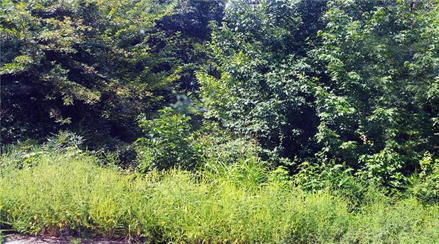 0 Dove Road Flintville, TN 37335 - Photo 3 of 8 Call us to walk this property and for more information. This is on the Flintville side off the Cricket Hill Circle.