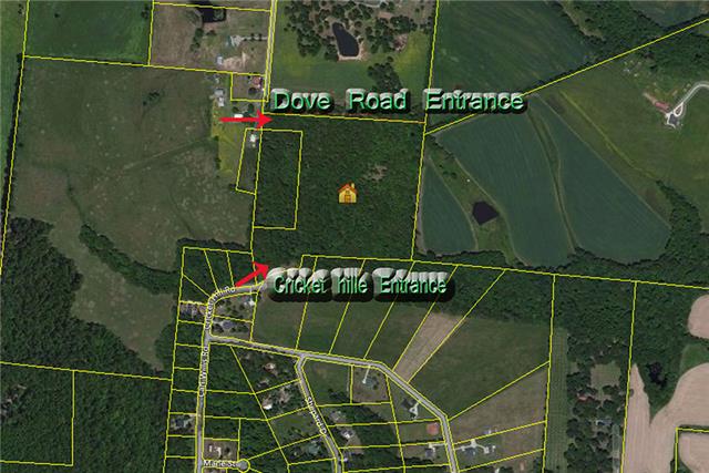 0 Dove Road Flintville, TN 37335 - Photo 4 of 8