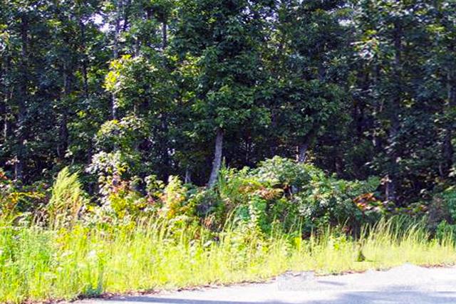 0 Dove Road Flintville, TN 37335 - Photo 5 of 8 This property is accessed from the Carl Willis, Crickett Hill Road in Whispering Meadows, off the cul de sac, as you approach the land.
