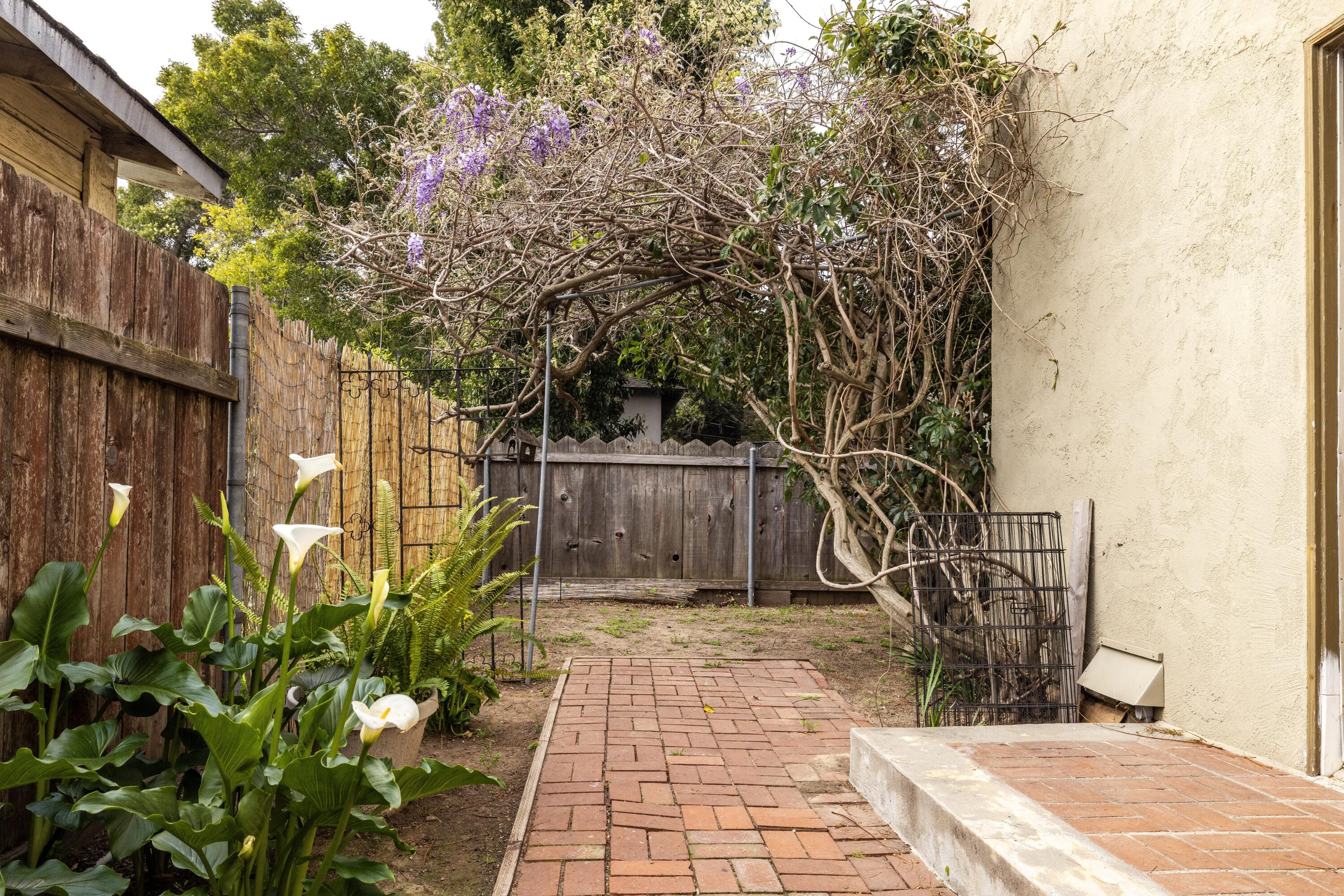 2827-2829 Serena Road Santa Barbara, CA 93105 - Photo 24 of 27 Second Residence Backyard