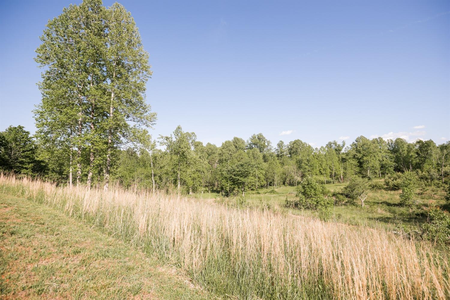 862 Snapps Mill Road Spout Spring, VA 24593 - Photo 5 of 29 a view of lake with green space
