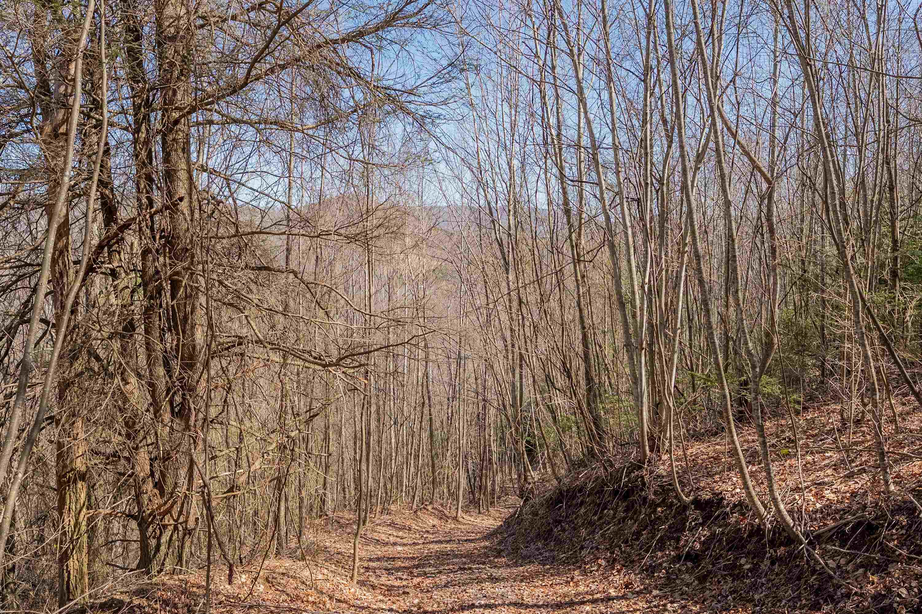 Tbd Southwest Tbd Sw Jeb Stuart Road Southwest Damascus, VA 24236 - Photo 55 of 113 Gallery Image 55