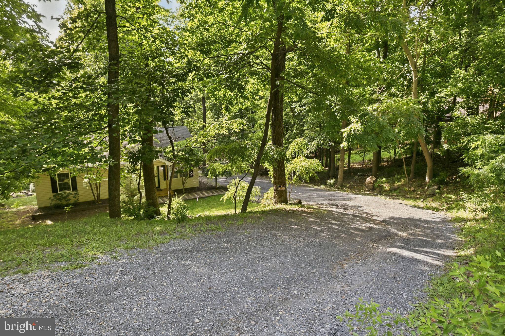 997 Wilderness Road Linden, VA 22642 - Photo 49 of 61 Large driveway fits many cars