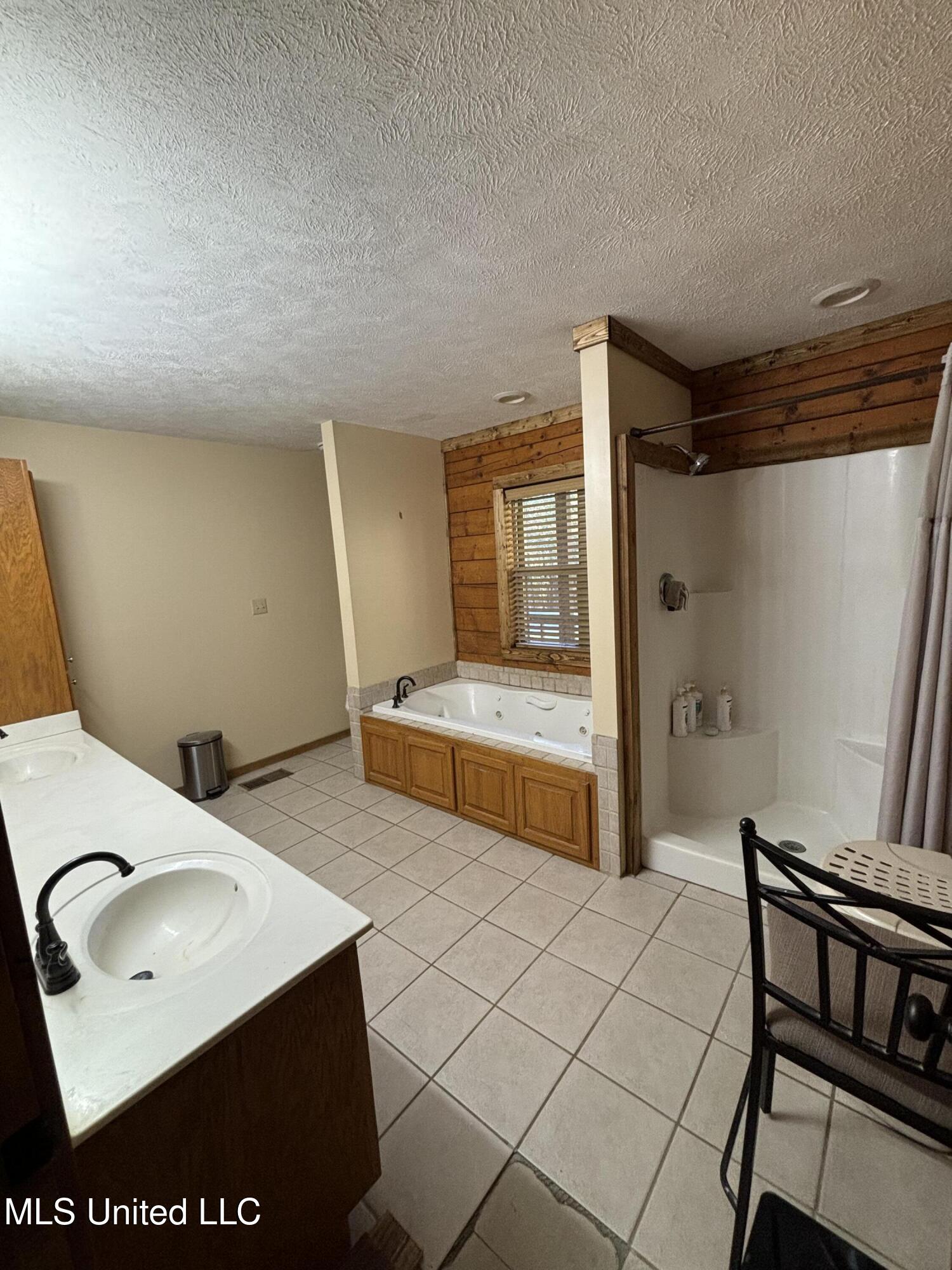 7239 County Road, Unit 100 Carrollton, MS 38917 - Photo 7 of 11 master bathroom