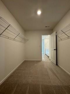 309 Amsterdam Way Hampton, GA 30228 - Photo 29 of 53