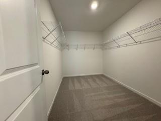 309 Amsterdam Way Hampton, GA 30228 - Photo 30 of 53 a view of a room with racks on the wall