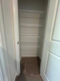 309 Amsterdam Way Hampton, GA 30228 - Photo 32 of 53 a view of closet