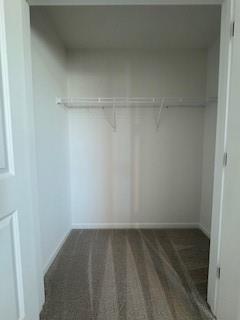 309 Amsterdam Way Hampton, GA 30228 - Photo 43 of 53 a view of a room with shelf