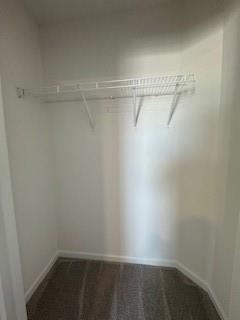 309 Amsterdam Way Hampton, GA 30228 - Photo 48 of 53 a view of a room with racks on the wall