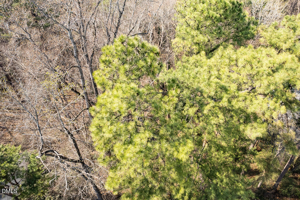 4017 Balsam Drive Raleigh, NC 27612 - Photo 11 of 18 4017 Balsam-7