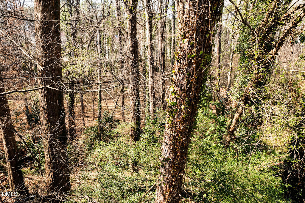 4017 Balsam Drive Raleigh, NC 27612 - Photo 5 of 18 4017 Balsam-14