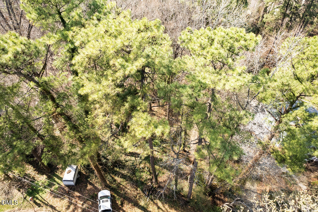 4017 Balsam Drive Raleigh, NC 27612 - Photo 8 of 18 4017 Balsam-8