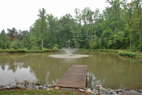 255 Periwinkle Road Moneta, VA 24121 - Photo 16 of 19 Beautiful pond