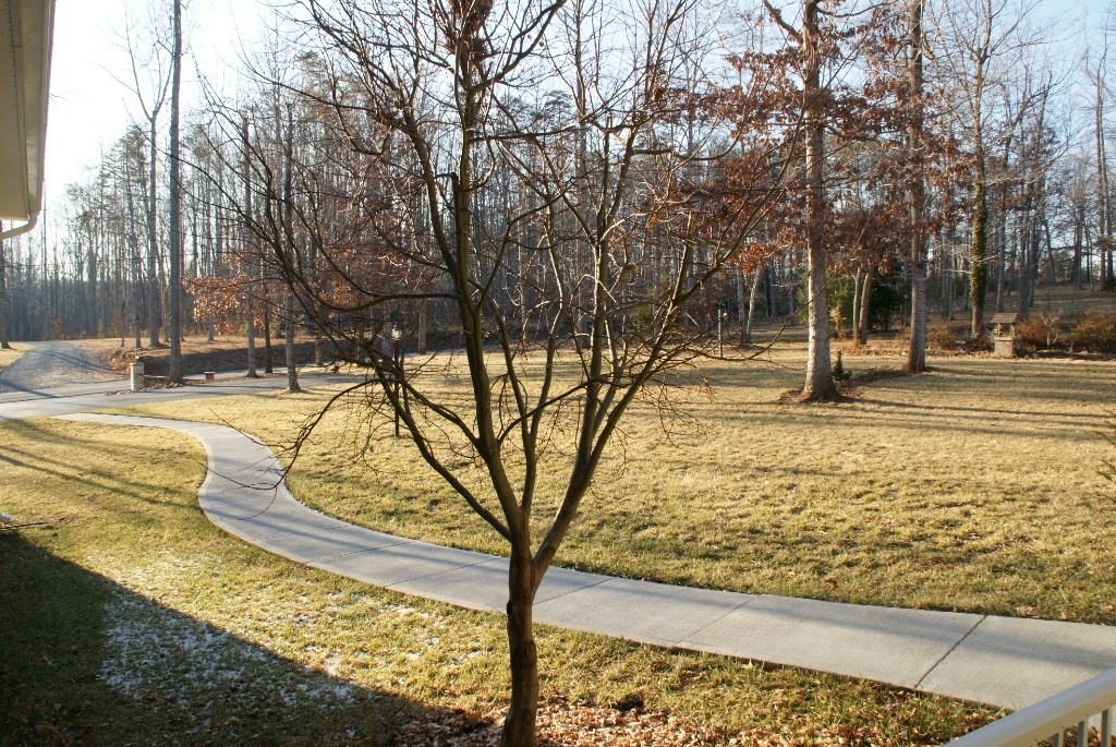255 Periwinkle Road Moneta, VA 24121 - Photo 18 of 19 Front Yard