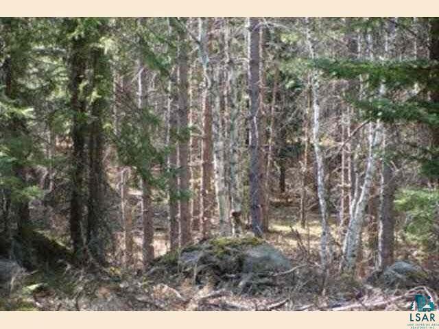 Tbd Birch Lake Road Ely, MN 55731 - Photo 1 of 4 Gallery Image 1