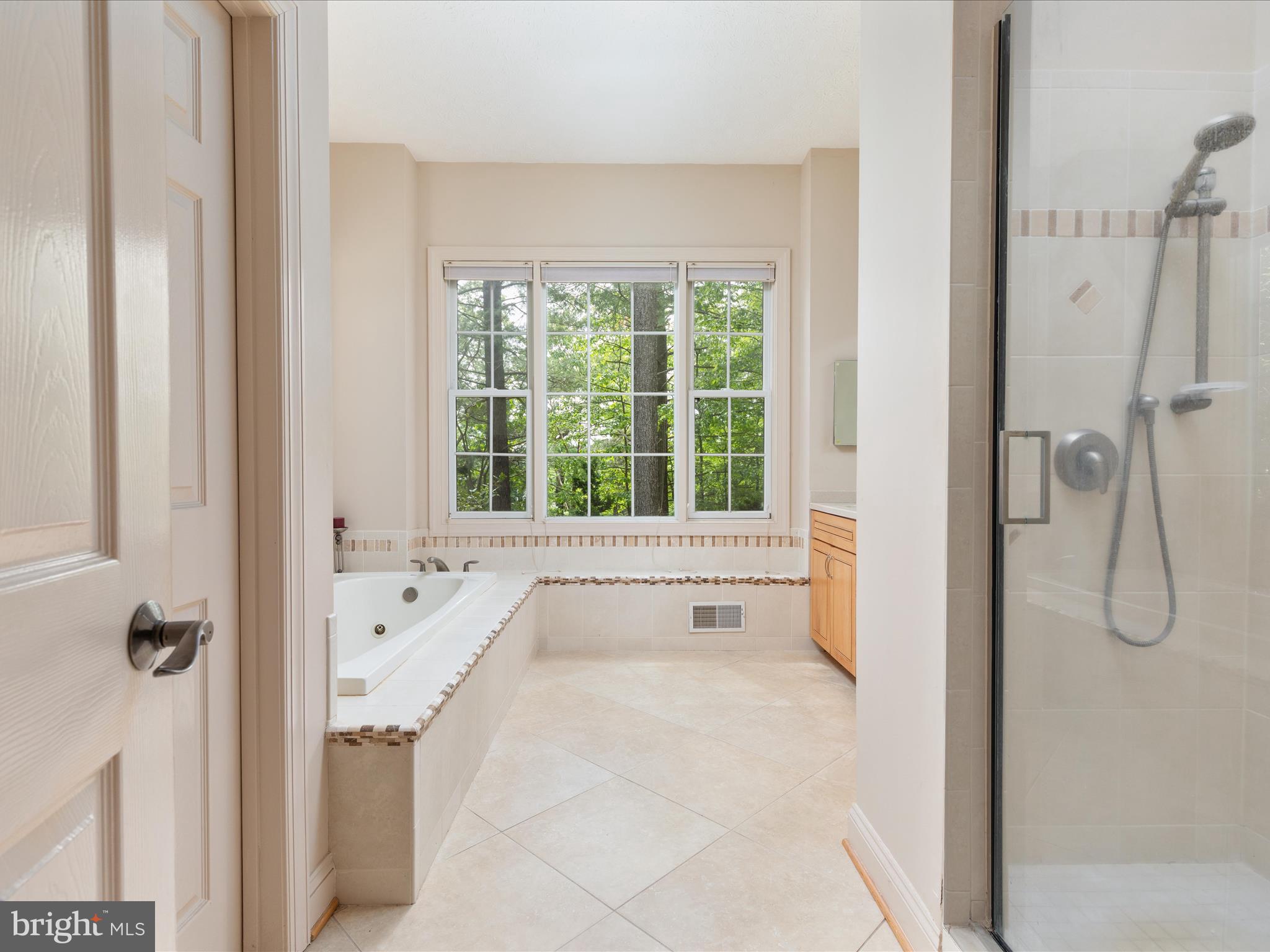 228 Sunset Circle Cross Junction, VA 22625 - Photo 25 of 72 Primary bath