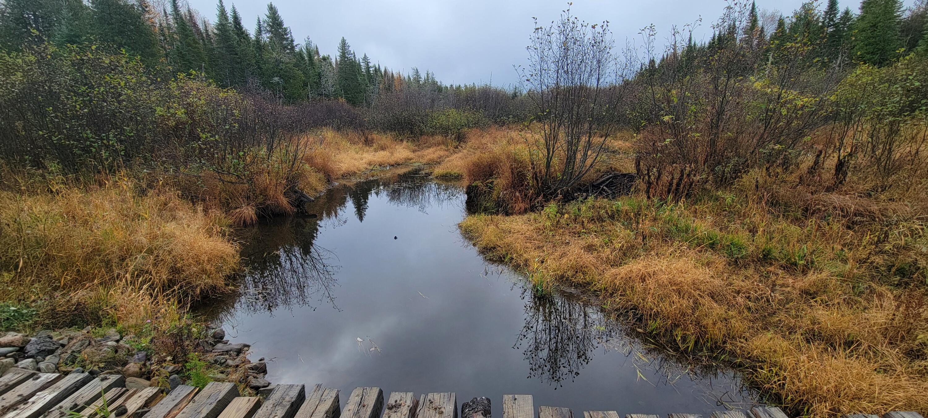5-005 Grendell Road Mapleton, ME 04757 - Photo 13 of 22 20251021_082940