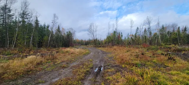 $118,500 | 5-005 Grendell Road, Mapleton, ME 04757