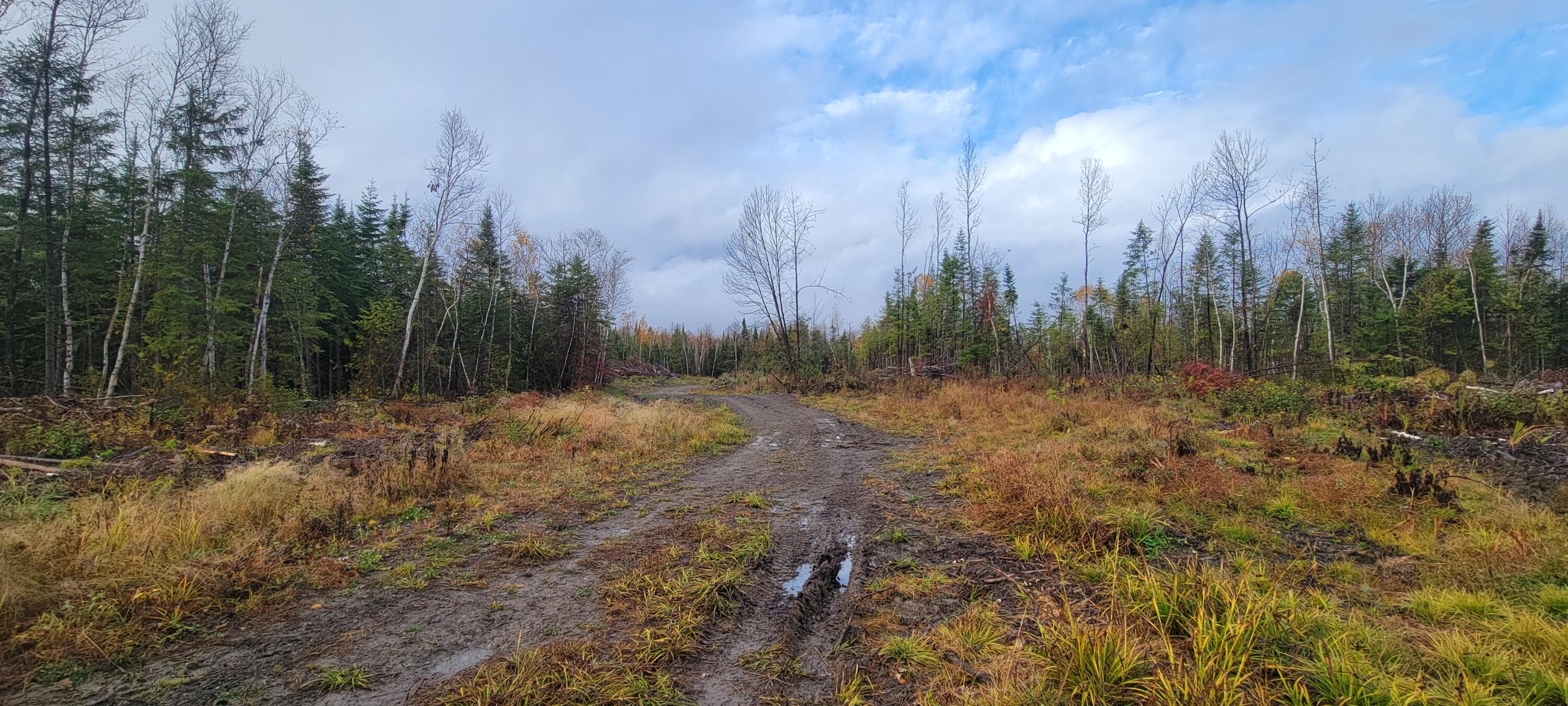 5-005 Grendell Road Mapleton, ME 04757 - Photo 19 of 22 20251021_082603