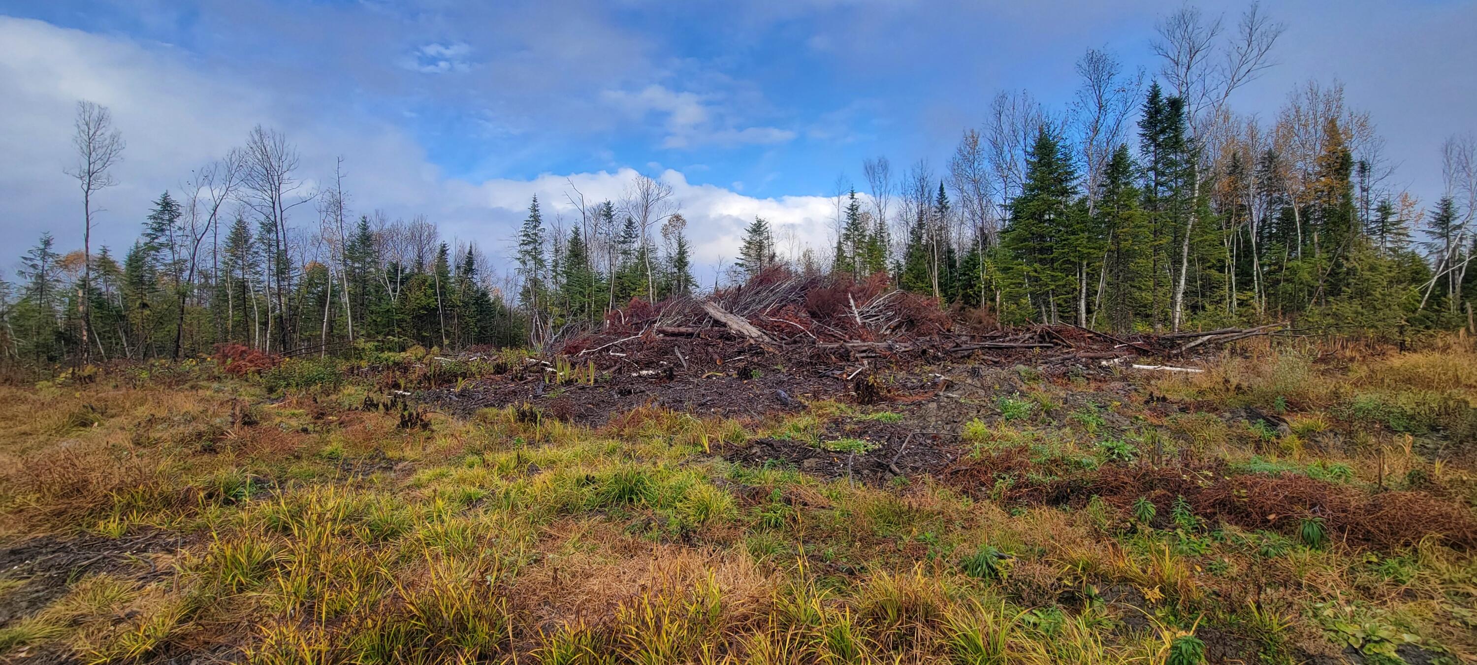5-005 Grendell Road Mapleton, ME 04757 - Photo 20 of 22 20251021_082556