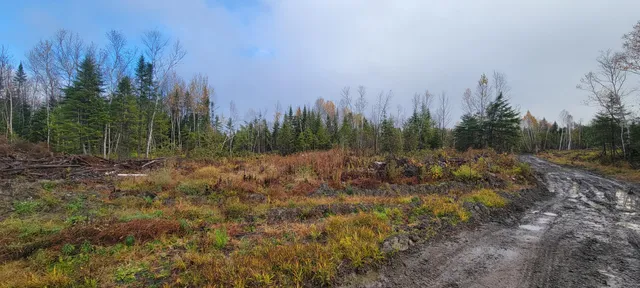 $118,500 | 5-005 Grendell Road, Mapleton, ME 04757