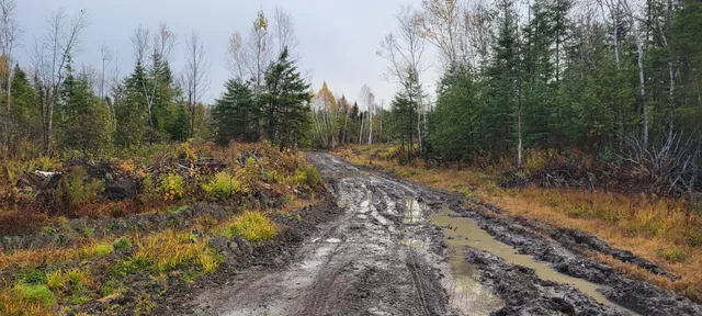 $118,500 | 5-005 Grendell Road, Mapleton, ME 04757