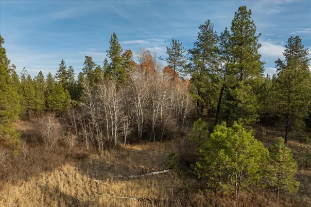 $83,610 | Xxxx Xxxx Vacant Land, Unit PARCEL 3, Cheney, WA 99004