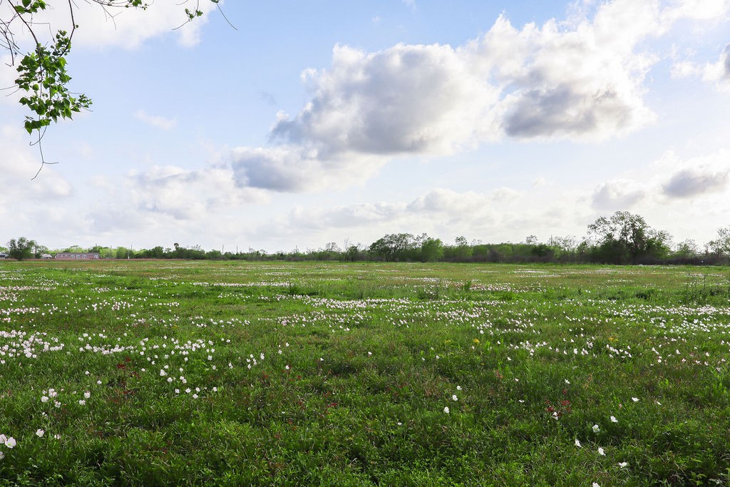 1115 Farm To Market 1462 Rosharon, TX 77583 - Photo 8 of 20