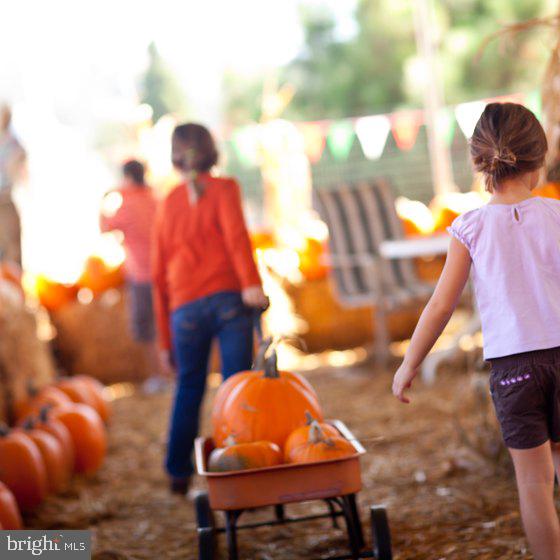 2704 Amber Crest Road Hanover, MD 21076 - Photo 45 of 48 ...fall festivals & outdoor activities...