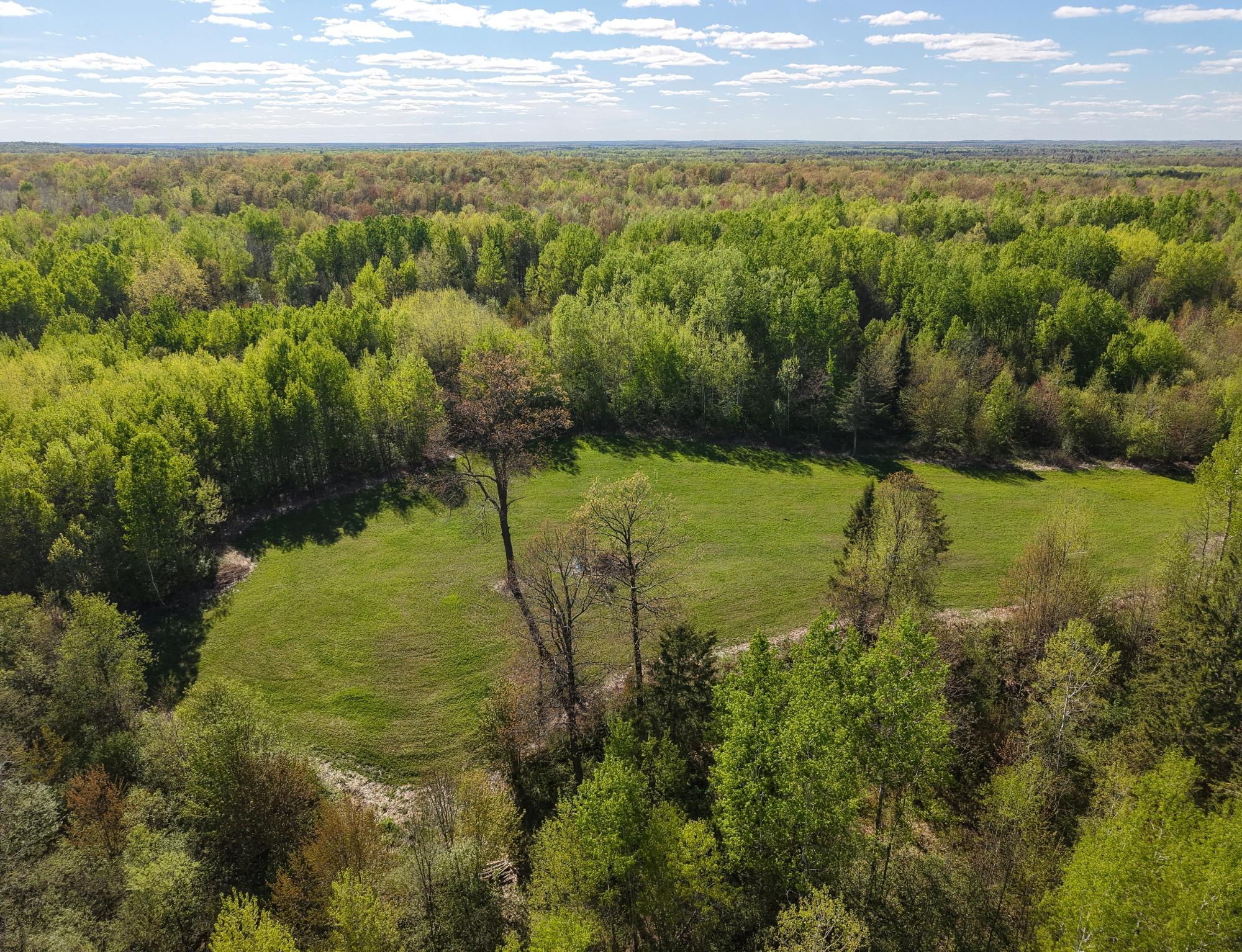 0 Spring Road Ogema, WI 54459 - Photo 6 of 52 Gallery Image 6