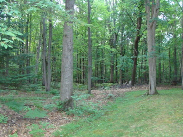 2120 West Prairie Road Midland, MI 48640 - Photo 29 of 45 DSC03407